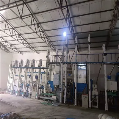 ہیوی ٹیک رائس مل